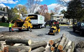 Best Tree Risk Assessment  in Bluffton, SC